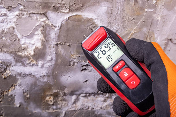 Certified Mold Removal in Kill Devil Hills, NC